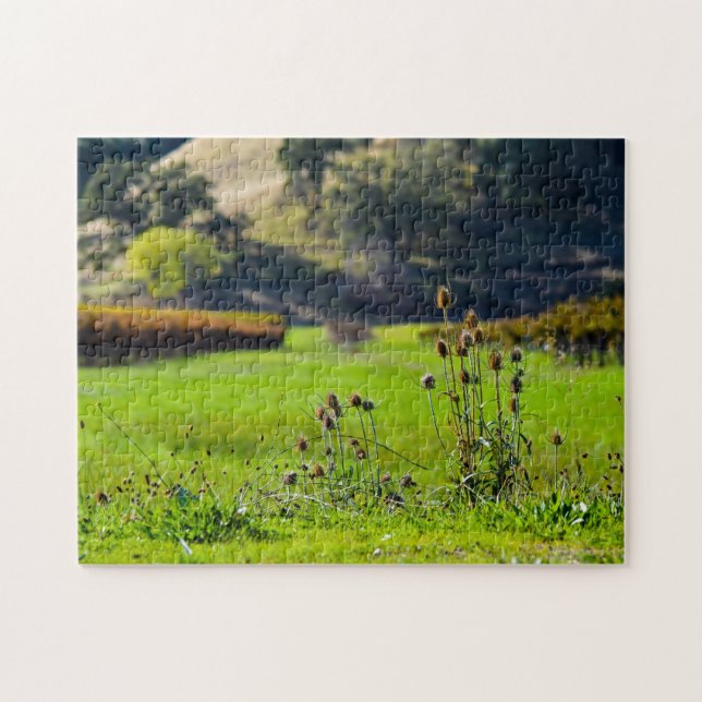 Thistle in a Vineyard Jigsaw Puzzle (Horizontal)