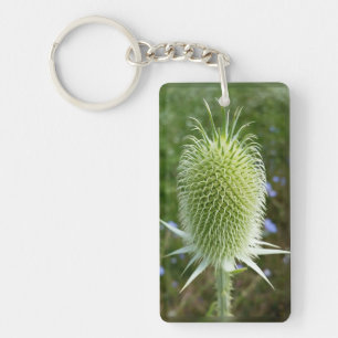 Thistle in the summer sun key ring