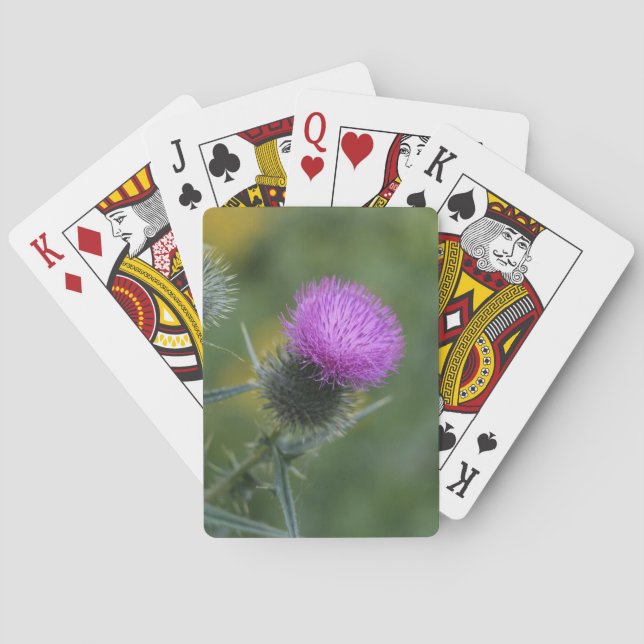 Thistle Playing Cards (Back)