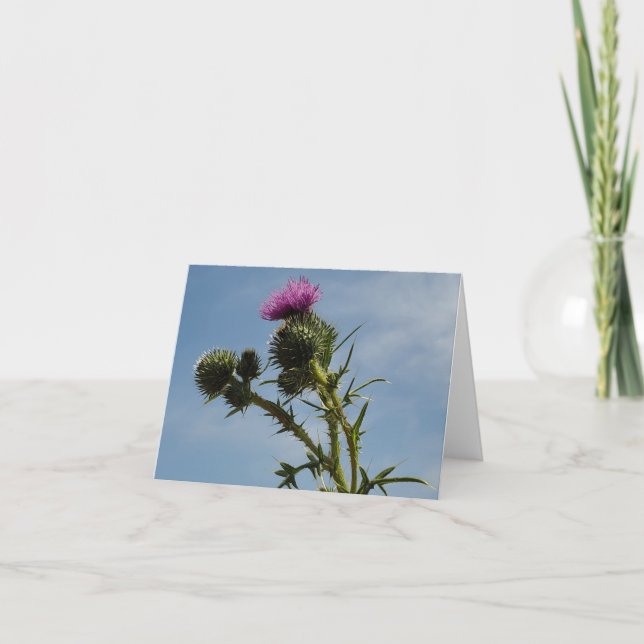 Thistle Thank You Card (Front)