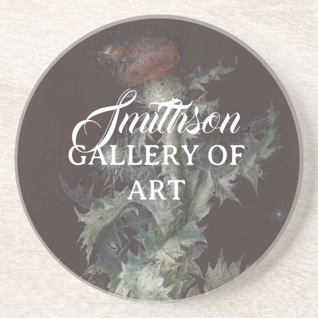 Thistle with Insects 1755 Johann C. Dietzsch Coaster (Front)