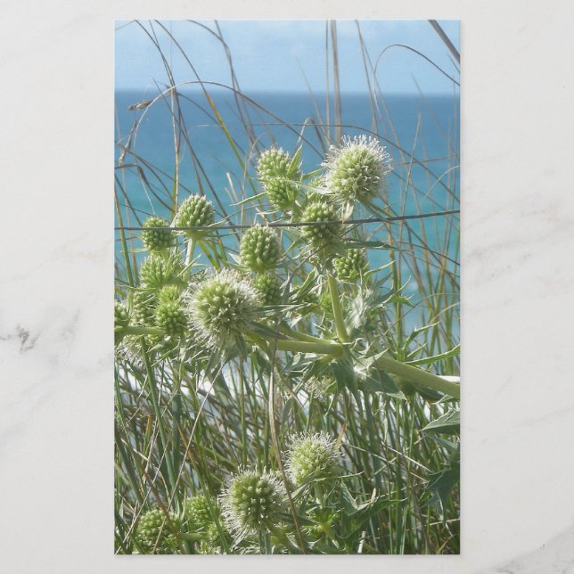 thistles stationery (Front)