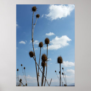 thistles, village and blue sky poster