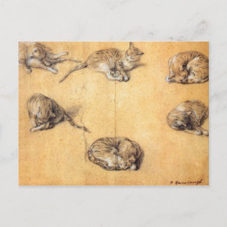 Thomas Gainsborough. Six studies of a cat Postcard