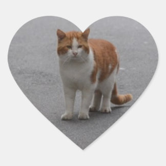Thomas Ginger And White Cat Heart Sticker