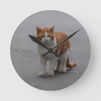 Thomas Ginger And White Cat Round Clock