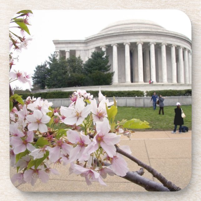 Thomas Jefferson Memorial with cherry blossoms Coaster (Front)
