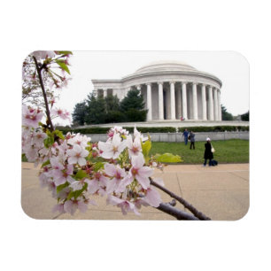 Thomas Jefferson Memorial with cherry blossoms Magnet