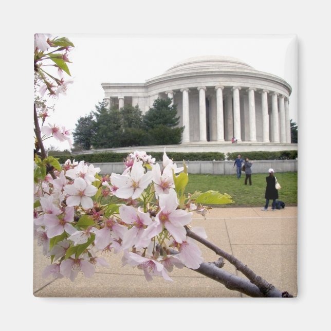 Thomas Jefferson Memorial with cherry blossoms Magnet (Front)