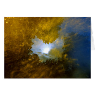 "thomas moran closed-eye vision"