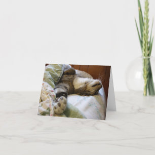 Thomas relaxing notecard