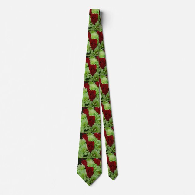 Thomasse Tie (Front)