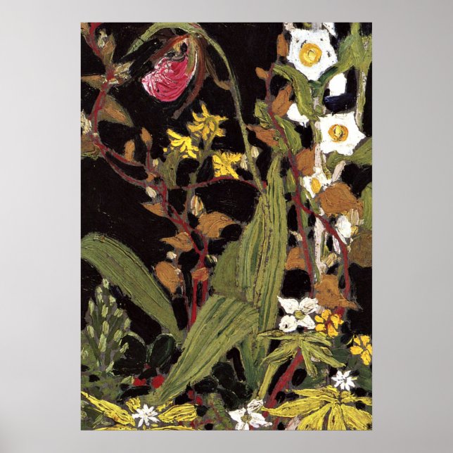 Thomson - Orchids, Algonquin Park Poster (Front)