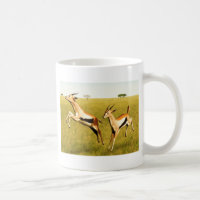 Thomson's Gazelle