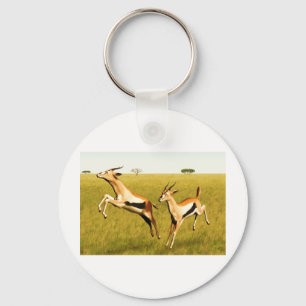Thomson's Gazelle Key Ring