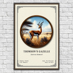 Thomson's Gazelle Zoology Series Poster