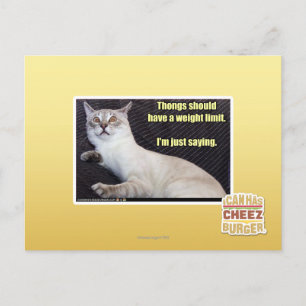 Thongs should have a weight limit. postcard