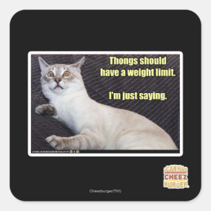 Thongs should have a weight limit. square sticker