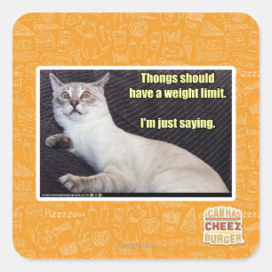 Thongs should have a weight limit. square sticker