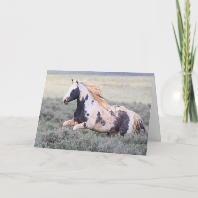 Thor of McCullough Peaks Greeting Card (Front)