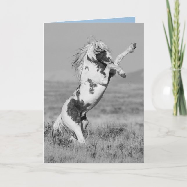 Thor Rears Wild Horse Greeting Card (Front)