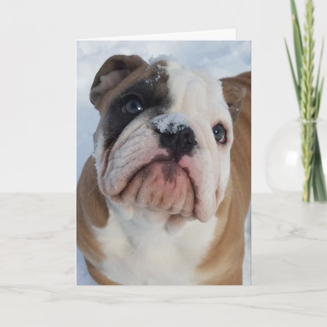Thor The Bulldog Merry Christmas Card (Front)