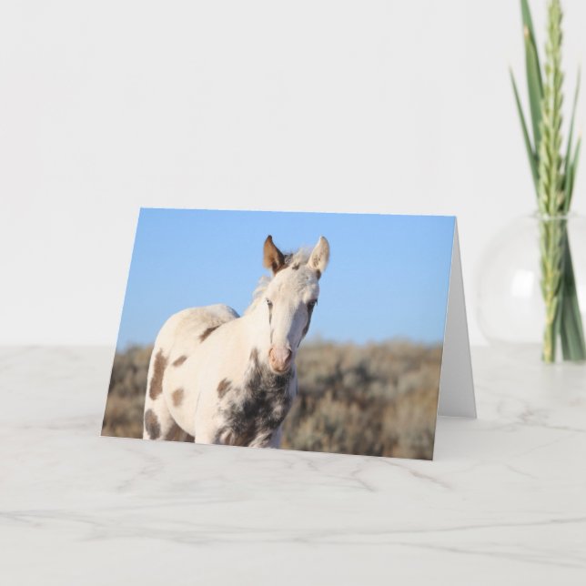 Thora of McCullough Peaks Thank You Card (Front)