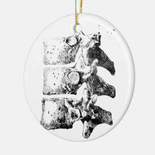 Thoracic vertebrae ceramic ornament