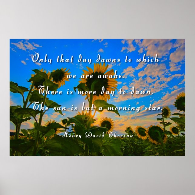 Thoreau, Morning Star Poster (Front)