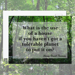 Thoreau Quote Forest Landscape Photographic Postcard