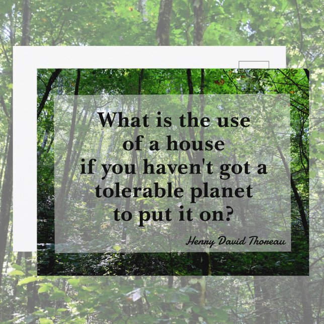 Thoreau Quote Forest Landscape Photographic Postcard (Creator Uploaded)
