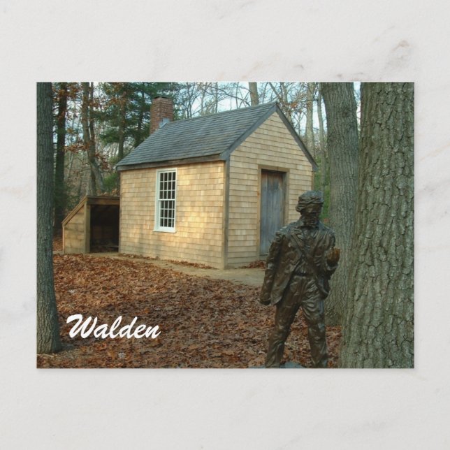Thoreau's statue and cabin postcard (Front)
