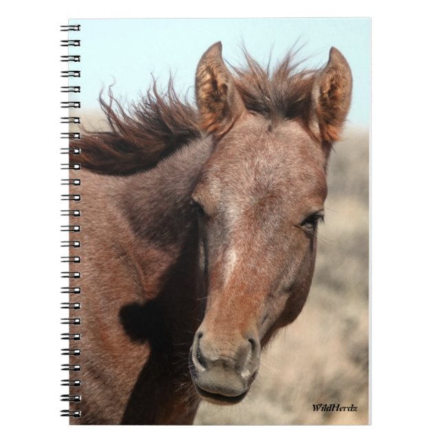 Thorin of Sand Wash Basin Notebook (Front)