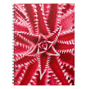 thorn cactus, natural pattern, abstract red back notebook