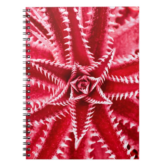 thorn cactus,  natural pattern,  abstract red back notebook (Front)