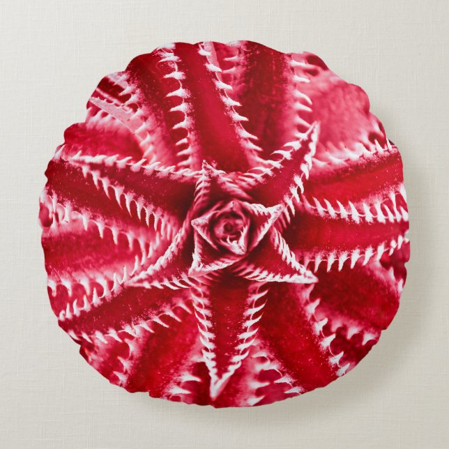 thorn cactus,  natural pattern,  abstract red back round cushion (Front)