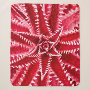 thorn cactus,natural pattern,abstract red backgrou sherpa blanket