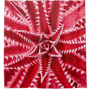 thorn cactus,natural pattern,abstract red backgrou shower curtain