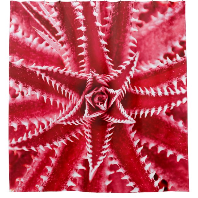 thorn cactus,natural pattern,abstract red backgrou shower curtain (Front)