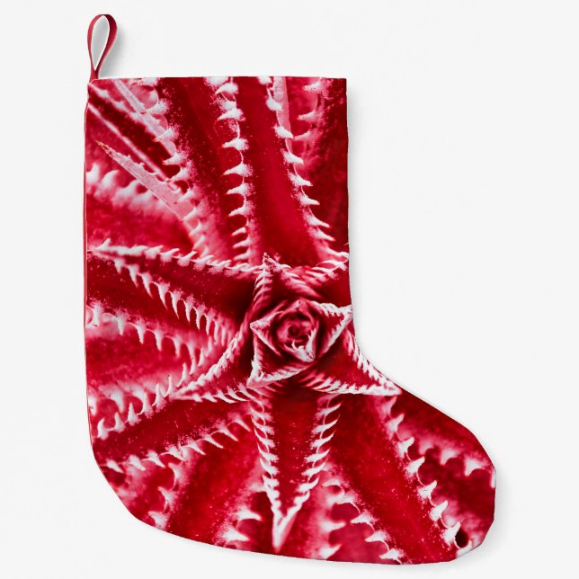 thorn cactus,natural pattern,abstract red backgrou small christmas stocking (Front)
