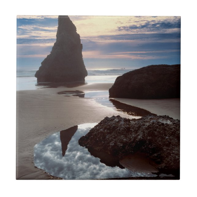 Thorn-Shaped seastack | Face Rock Wayside, OR Tile (Front)