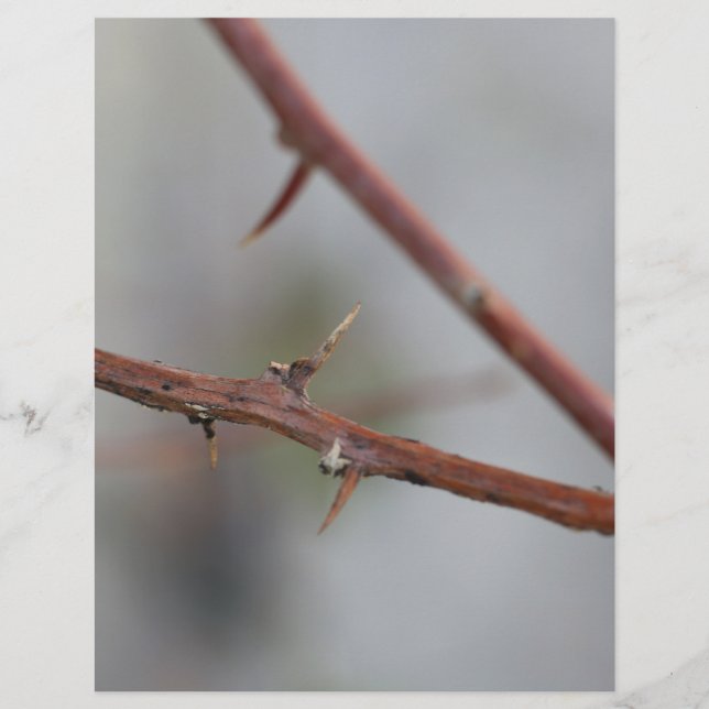 Thorns (Front)