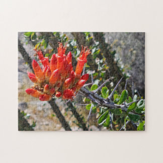 Thorns & Fire Blossoms Puzzle, 11" x 14", 252 pcs Jigsaw Puzzle
