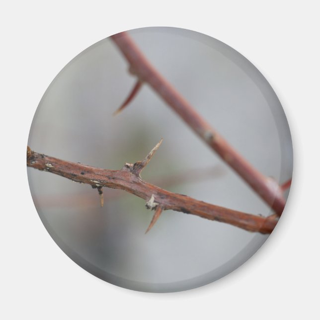 Thorns Magnet (Front)