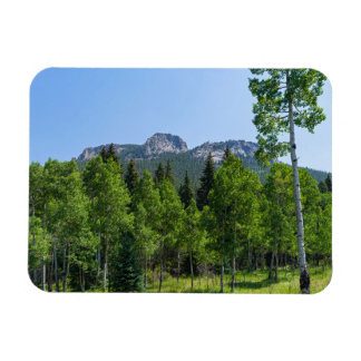 thorodin summit above woodlands at golden gate magnet