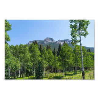 thorodin summit above woodlands at golden gate photo print