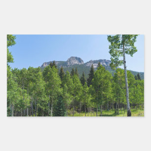 thorodin summit above woodlands at golden gate rectangular sticker