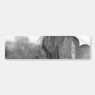 thoroughbred b/w bumper sticker
