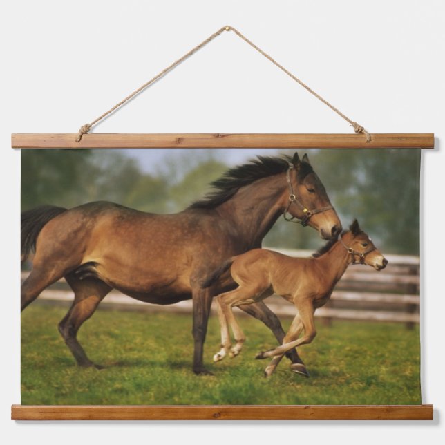 Thoroughbred Chestnut Mare & Foal Hanging Tapestry (Front)