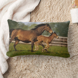 Thoroughbred Chestnut Mare & Foal Lumbar Cushion